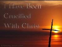 The Crucified Life